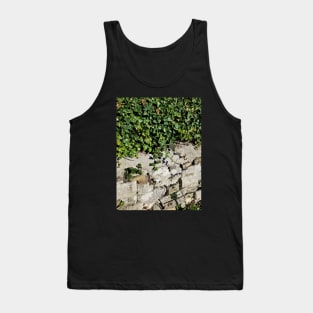 Ivy and Stone Tank Top